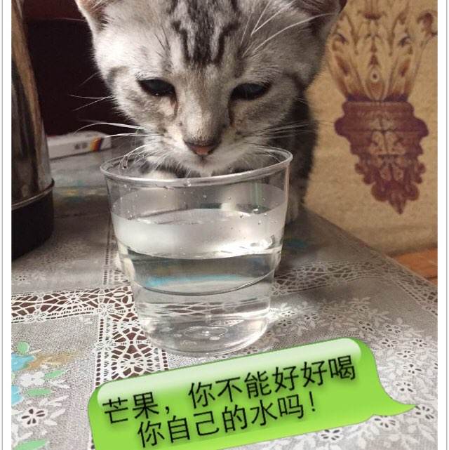 圣母院书院教育部认证办理